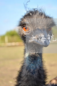 上海航運交易所管理規(guī)定