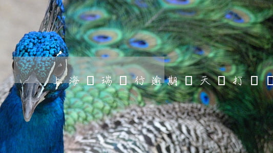 上海華瑞銀行逾期幾天會打電話-