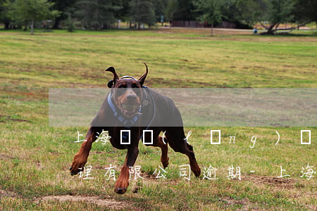 上海華領(lǐng)資產(chǎn)管理有限公司逾期-上海華領(lǐng)資本兌付最新情況