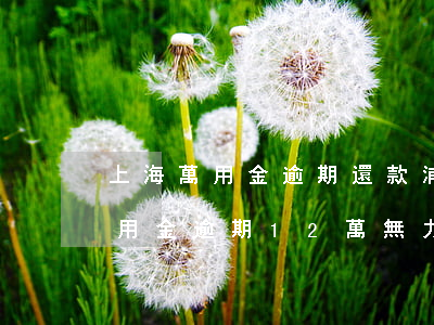 上海萬用金逾期還款(浦發(fā)信用卡萬用金逾期12萬無力償還,該怎么處理?)