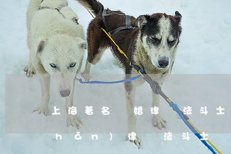 上海著名離婚律師法斗士(上海知名房產(chǎn)律師法斗士)
