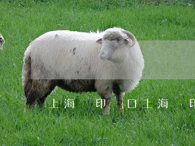 上海藍印戶口(上海藍印戶口什么時候取消的)