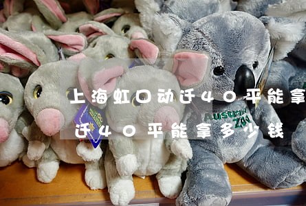 上海虹口动迁40平能拿多少钱(上海虹口动迁40平能拿多少钱)