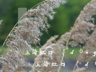 上海虹口動(dòng)遷40平能拿多少錢(上海虹口動(dòng)遷40平能拿多少錢)