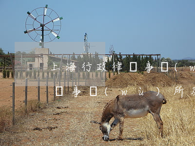 上海行政律師事務(wù)所(上海市十大律師事務(wù)所及地址)