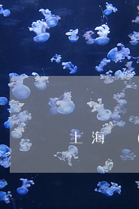 上海補(bǔ)辦異地身份證