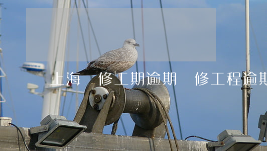 上海裝修工期逾期(裝修工程逾期按法律規定)