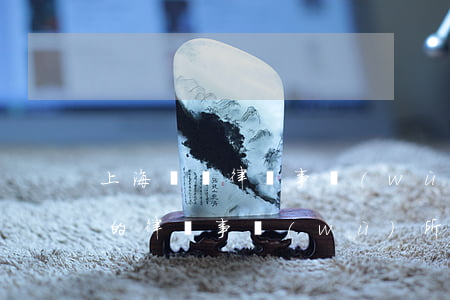 上海訴訟律師事務(wù)有幾家(上海有名的律師事務(wù)所有哪些)