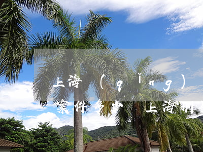 上海請(qǐng)個(gè)律師打刑事案件多少錢(上海刑事案件律師收費(fèi)標(biāo)準(zhǔn))