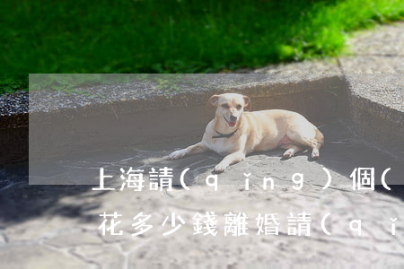 上海請(qǐng)個(gè)離婚律師要花多少錢(離婚請(qǐng)個(gè)律師大概要多少錢)