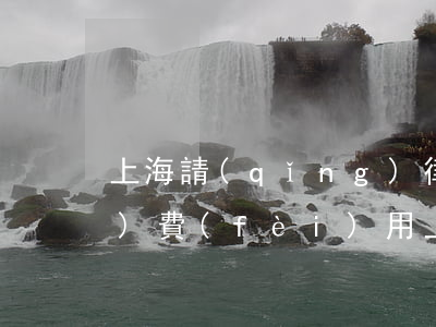 上海請(qǐng)律師多少錢(qián)費(fèi)用(上海請(qǐng)個(gè)律師)
