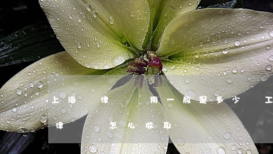 上海請律師費用一般是多少錢工傷(上海 一般律師費怎么收取)