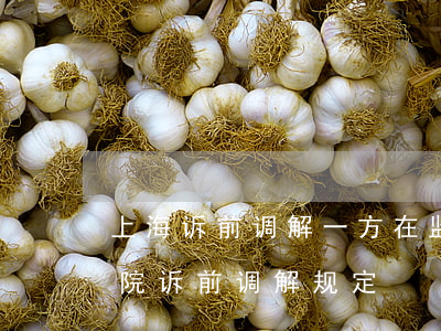 上海诉前调解一方在监狱里怎么调解(上海法院诉前调解规定)