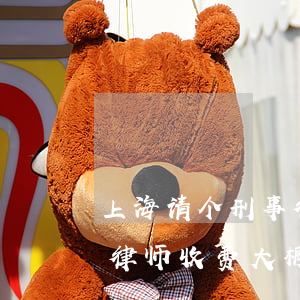 上海请个刑事律师需要多少钱(上海刑事案件律师收费大概多少)