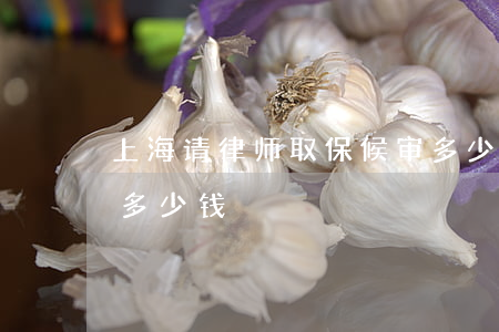 上海请律师取保候审多少钱(取保侯审请律师多少钱)