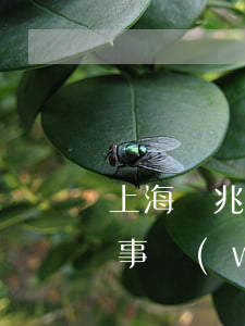 上海豐兆律師事務(wù)所(上海豐兆律師事務(wù)所)