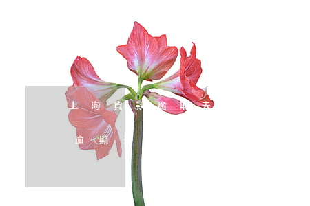 上海貨款逾期夫妻離婚了怎么辦-上海貨款逾期夫妻離婚了怎么辦
