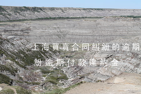 上海買賣合同糾紛的逾期違約金 買賣合同糾紛逾期付款違約金