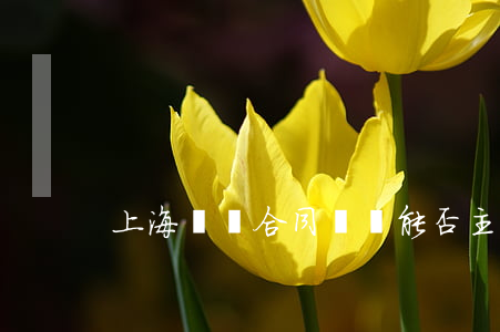 上海買賣合同糾紛能否主張逾期利息