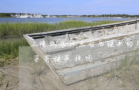 上海购房税出台后继承的房子出房产税吗(房子有继承税吗)