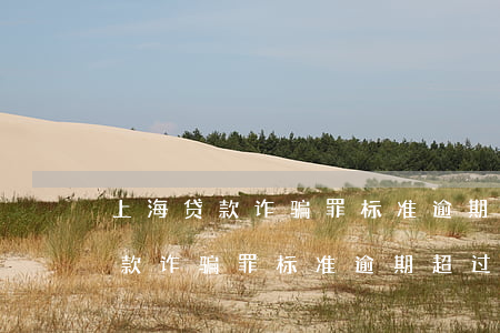 上海贷款诈骗罪标准逾期超过3个月(上海贷款诈骗罪标准逾期超过3个月)