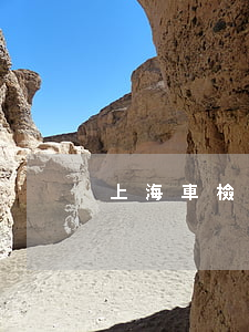 上海車檢因交通事故逾期