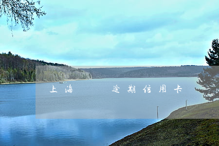 上海車貸逾期信用卡詐騙罪