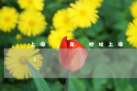 上海車輛年檢地址(上海車輛年檢地址2021) 上海車輛年檢地址(上海車輛年檢地址2021)