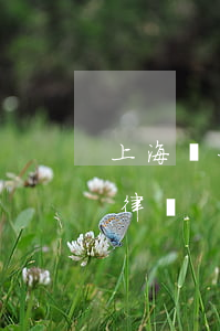 上海較好的律師事務(wù)所(上海比較好律師)