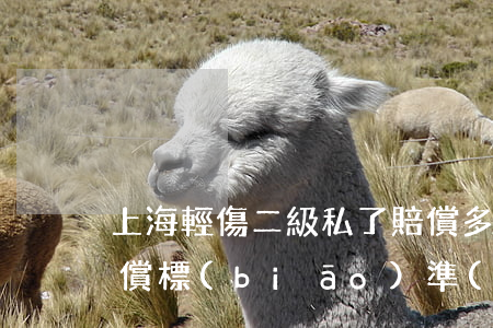 上海輕傷二級私了賠償多少(重傷二級私了賠償標(biāo)準(zhǔn))