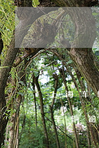 上海车辆逾期未检交通肇事保险理赔吗(上海车辆逾期未检交通肇事保险理赔吗)
