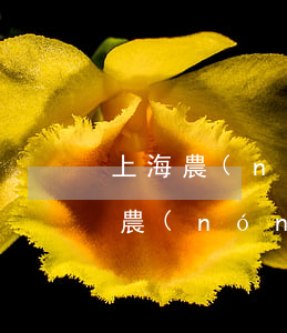 上海農(nóng)商銀行信用卡逾期一天(農(nóng)行信用卡 逾期一天)