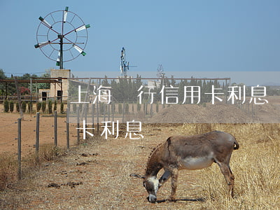 上海農行信用卡利息(農業(yè)銀行 信用卡 利息)