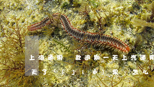 上海通用貸款逾期一天(上汽通用車貸逾期3天了結(jié)果會怎么樣)