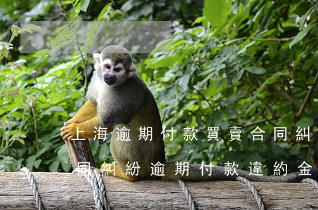 上海逾期付款買賣合同糾紛案答辯狀(買賣合同糾紛逾期付款違約金)