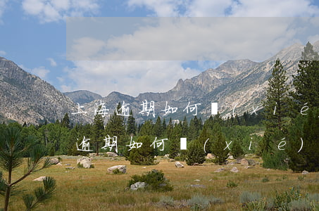 上海逾期如何協(xié)商分期還款(上海逾期如何協(xié)商分期還款的)