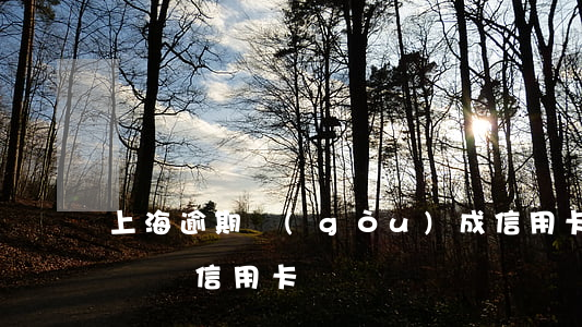 上海逾期構(gòu)成信用卡詐騙罪(涉嫌詐騙信用卡)