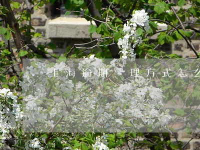 上海逾期處理方式 怎么處理逾期