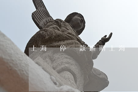 上海違停罰款逾期 上海 違停 罰款