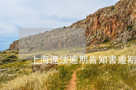 上海違法逾期告知書(逾期法院通知書)