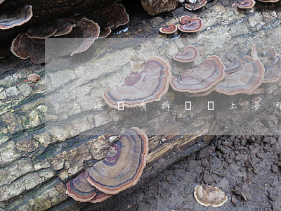 上海還有拆遷嗎(上海哪里拆遷)