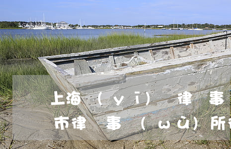 上海醫(yī)療律師事務(wù)所(上海市律師事務(wù)所律師)