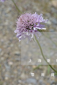 上海重信零用貸逾期會被起訴嗎-上海重信零用貸逾期會被起訴嗎