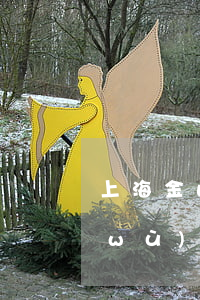 上海金山公司糾紛律師(上海金石律師事務(wù)所律師名單)