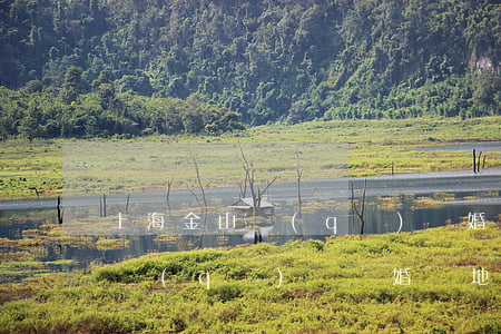 上海金山區(qū)離婚預(yù)約(金山區(qū)辦離婚證地址在哪里)