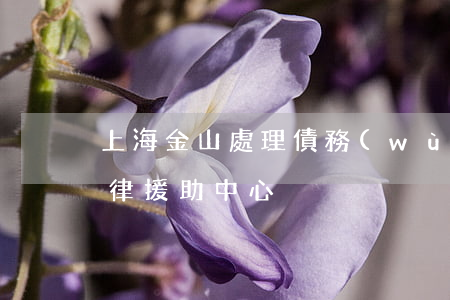 上海金山處理債務(wù)律師(上海金山法律援助中心)