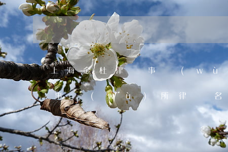 上海金杜律師事務(wù)所地址(金杜律師事務(wù)所律師名單)