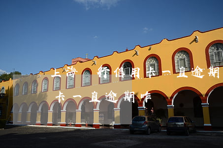 上海銀行信用卡一直逾期咋辦(上海銀行信用卡一直逾期咋辦)