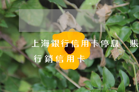 上海銀行信用卡停息掛賬如何還款-上海銀行銷信用卡