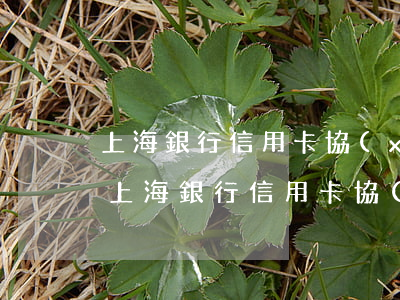 上海銀行信用卡協(xié)商信用怎么樣（上海銀行信用卡協(xié)商信）